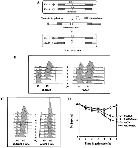 FIG. 1.