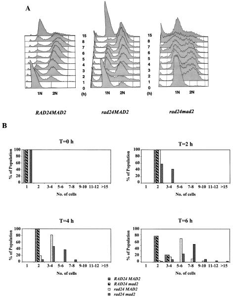 FIG. 8.