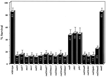 FIG. 7.