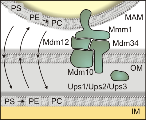 Figure 3.