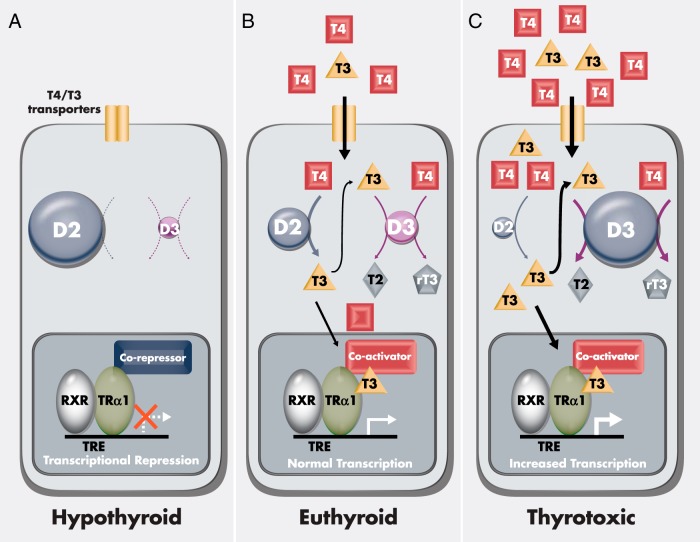 Figure 3.