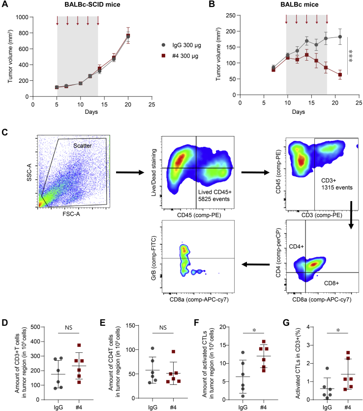 Figure 4