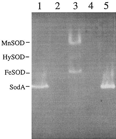 FIG. 5.