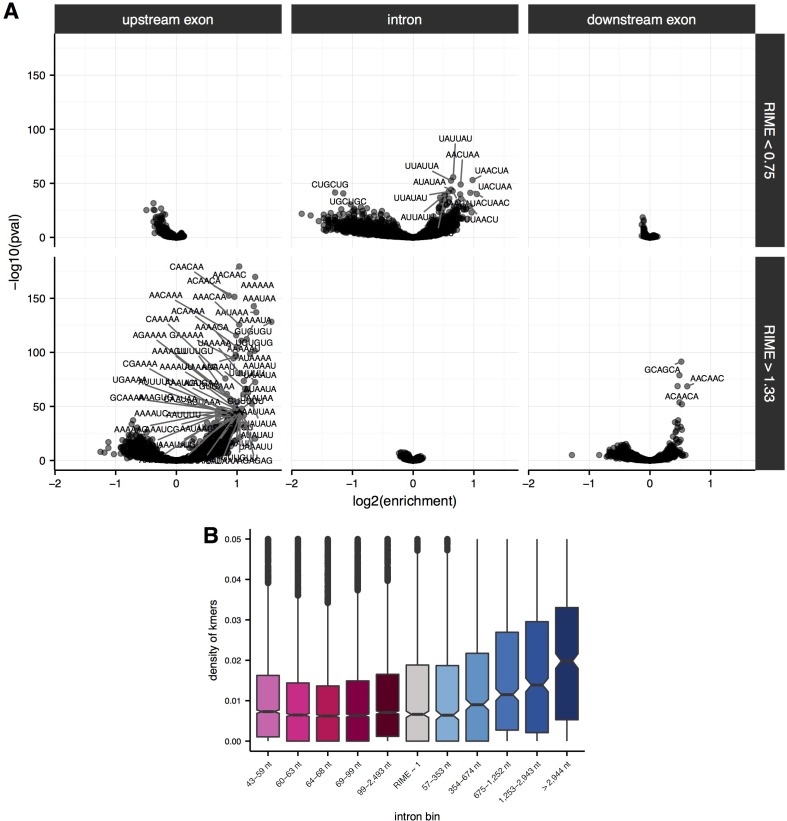 Figure 3—figure supplement 2.