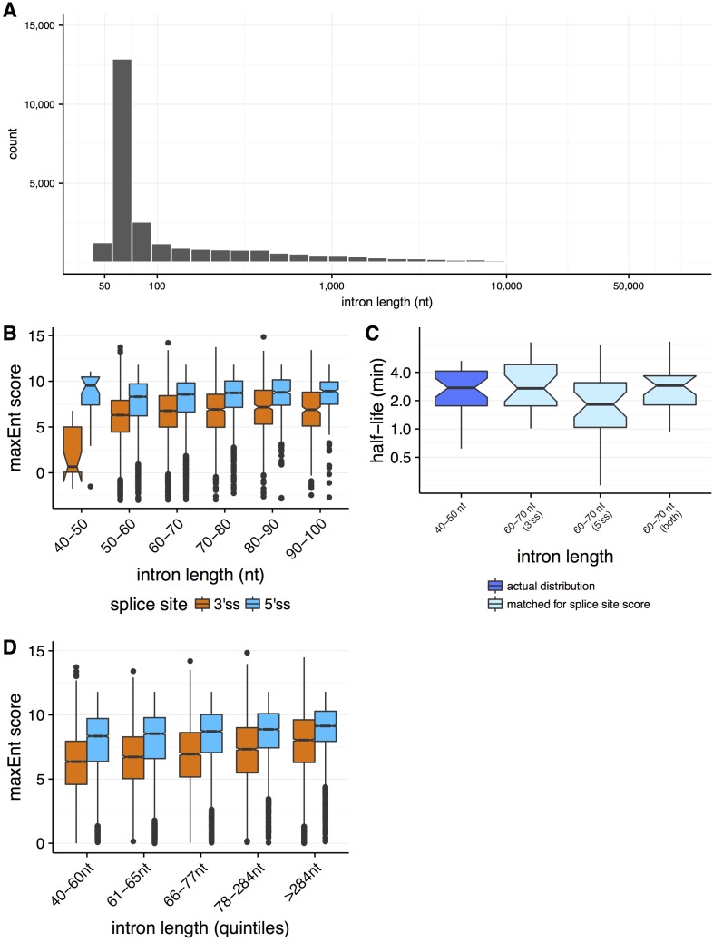 Figure 2—figure supplement 1.