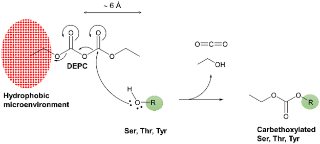 Scheme 1.