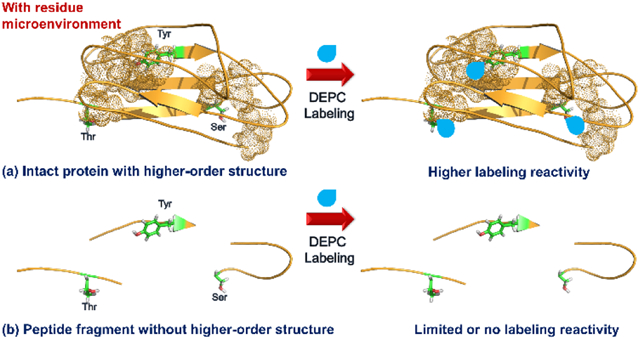 graphic file with name nihms-1038999-f0001.jpg