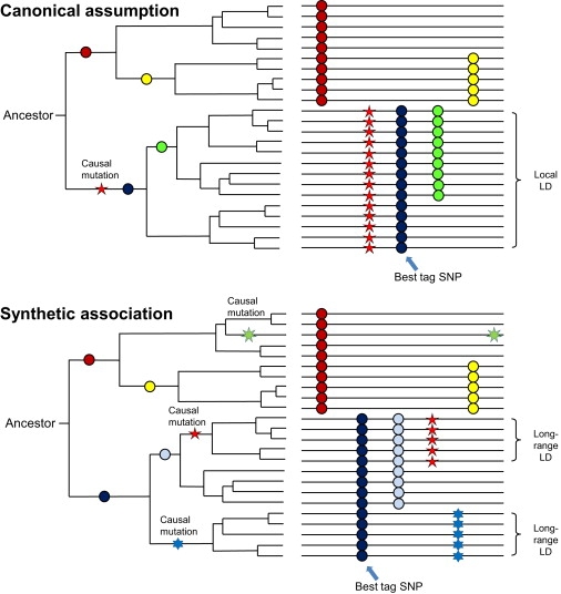 Figure 1