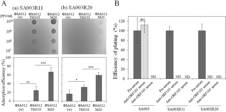 FIG 6