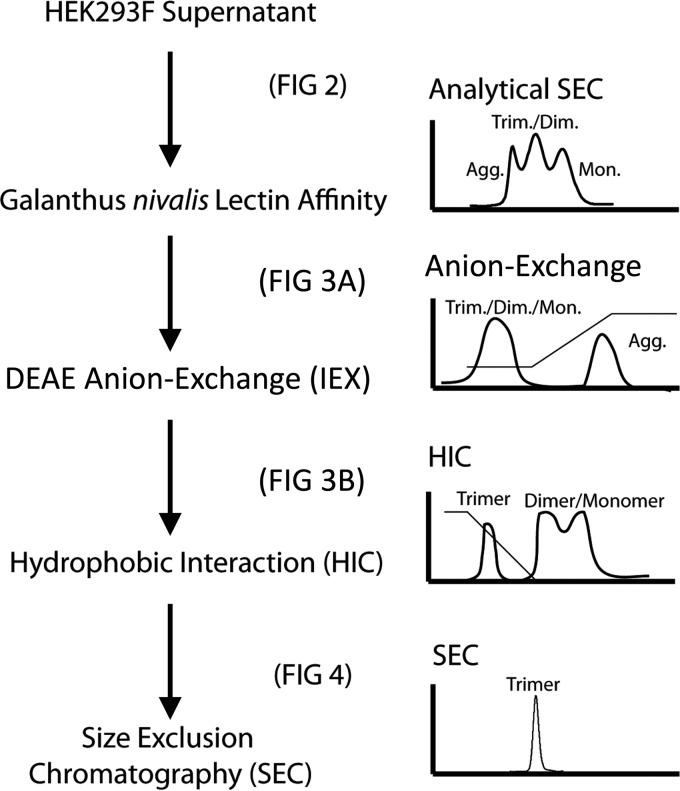 FIG 1