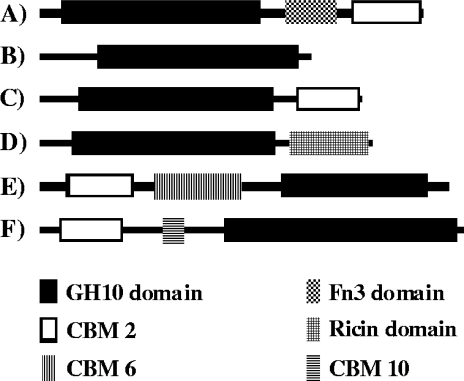 FIG. 2.