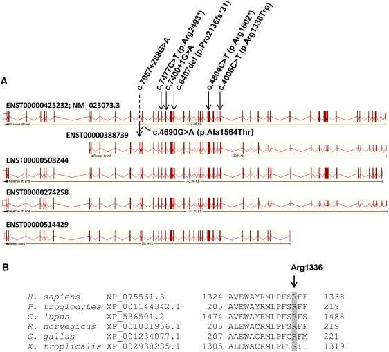 Figure 3