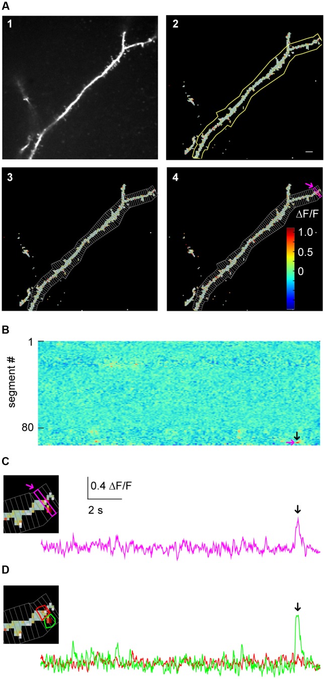 FIGURE 3