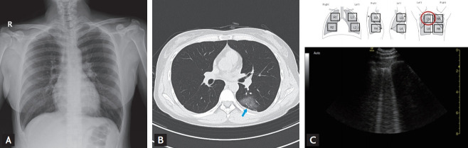 Figure 1.