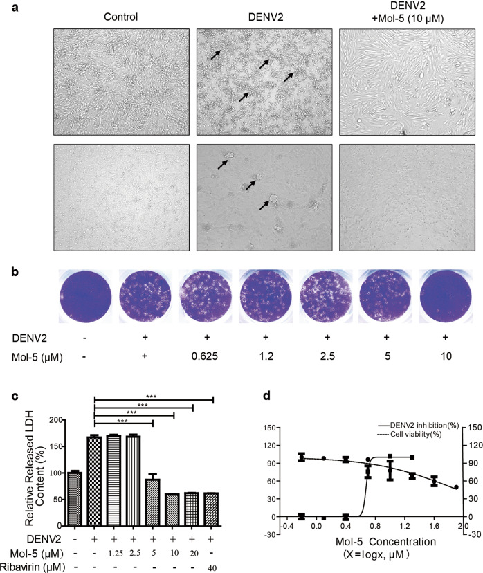 Fig. 3