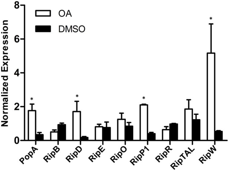 FIGURE 3