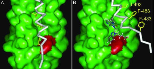 Fig. 4.