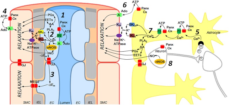 Figure 2