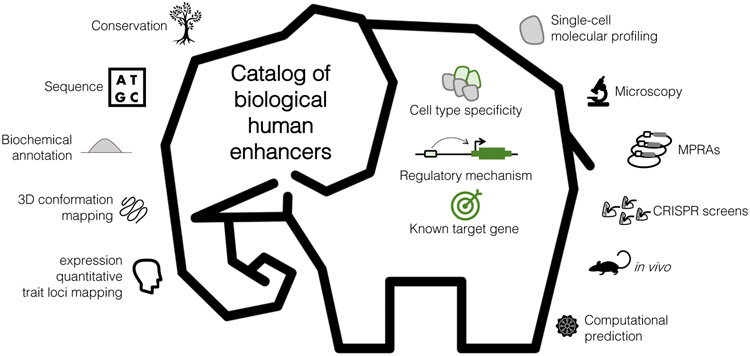 Figure 5: