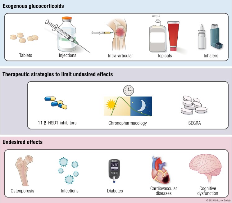 Graphical Abstract