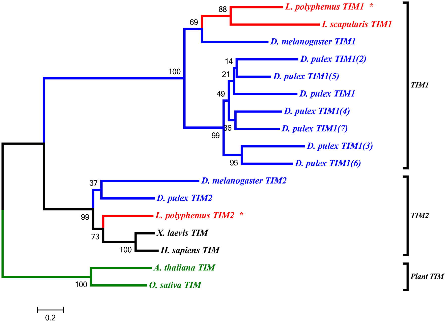 Figure 9: