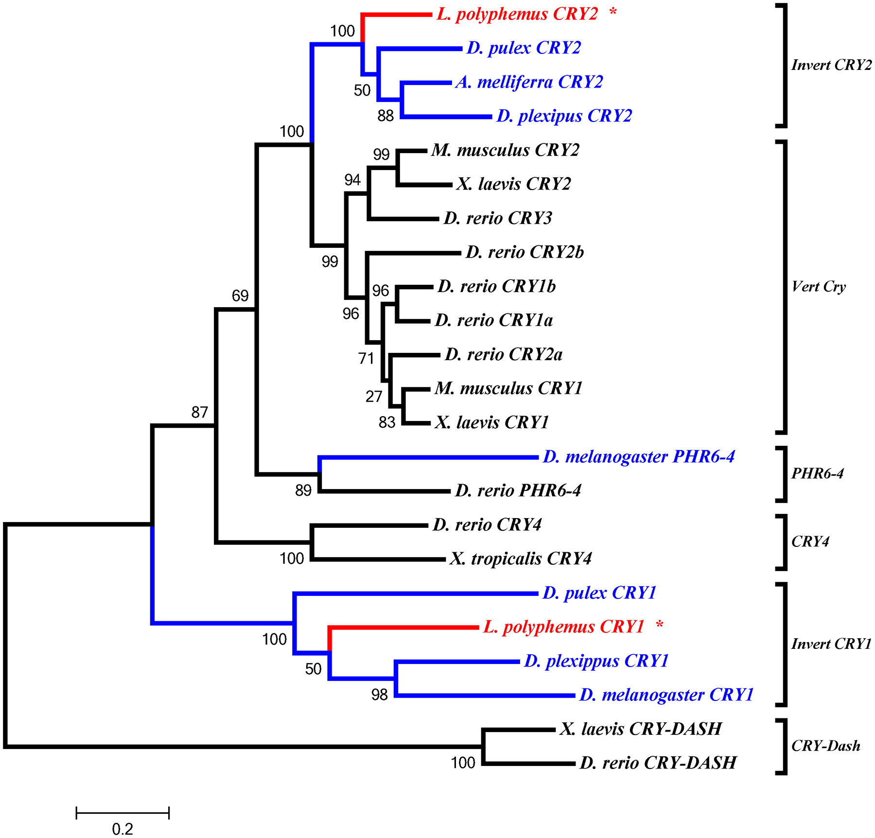 Figure 11: