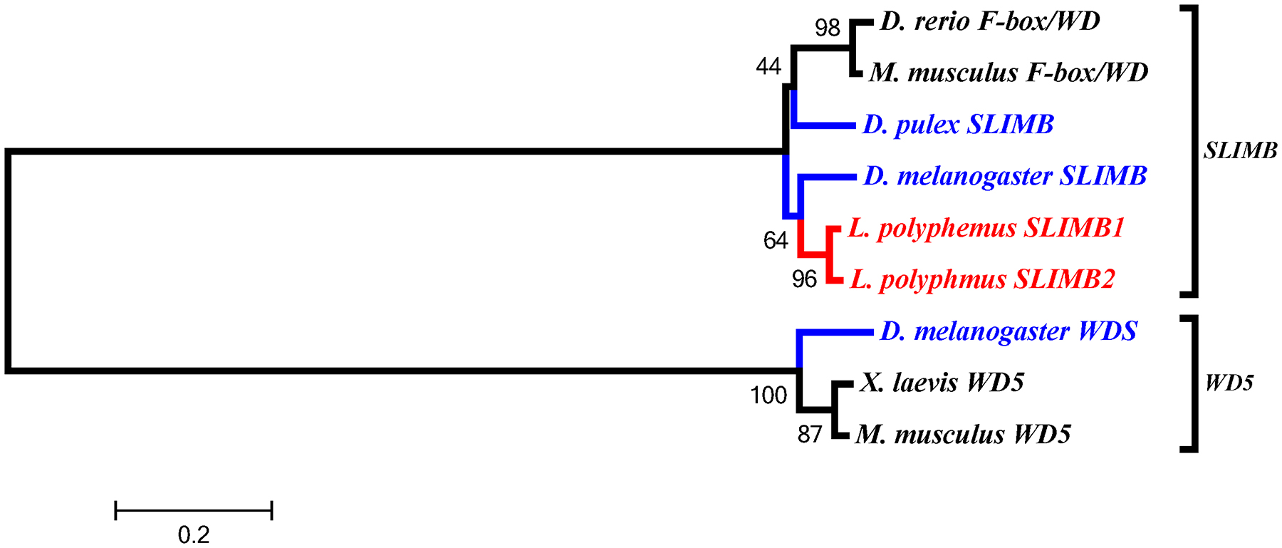 Figure 12: