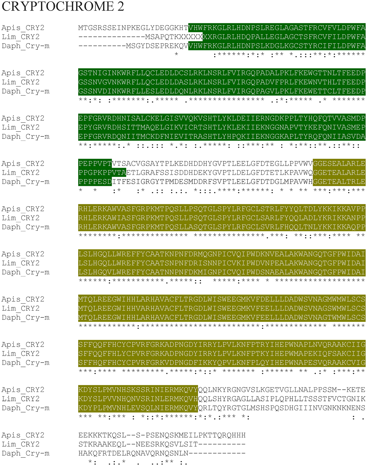 Figure 6: