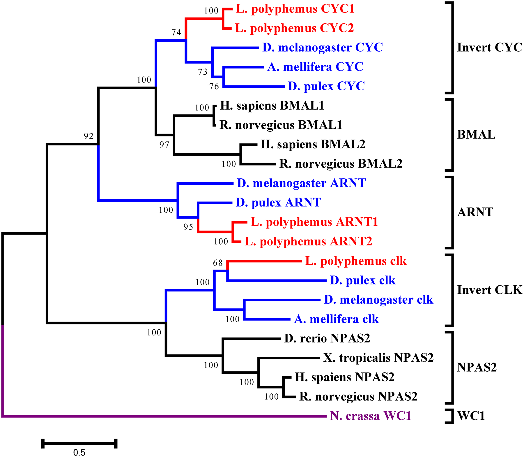 Figure 10: