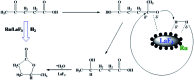 Scheme 3