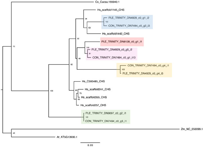 Figure 4