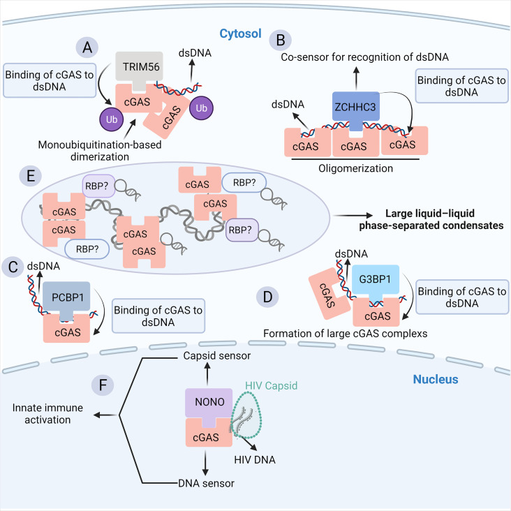 Figure 3