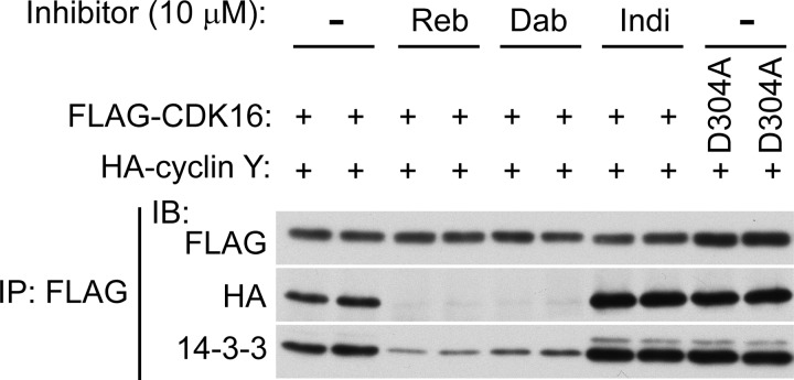 Figure 4.