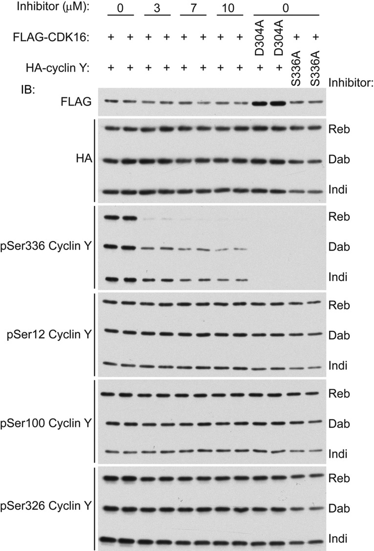 Figure 3.