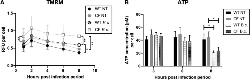 Fig. 4: