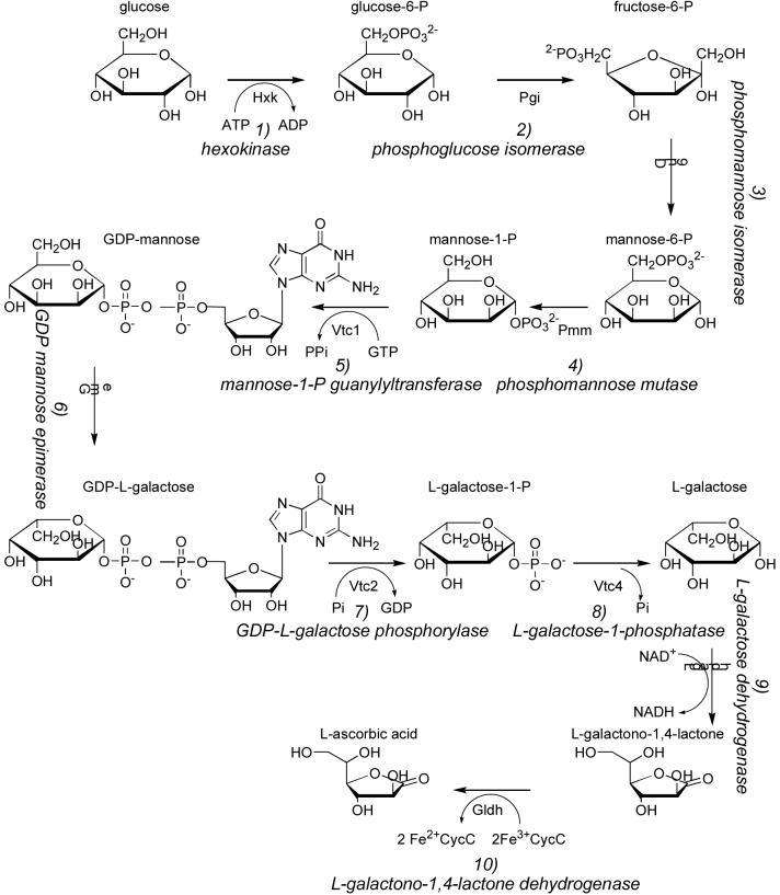 Fig. 4