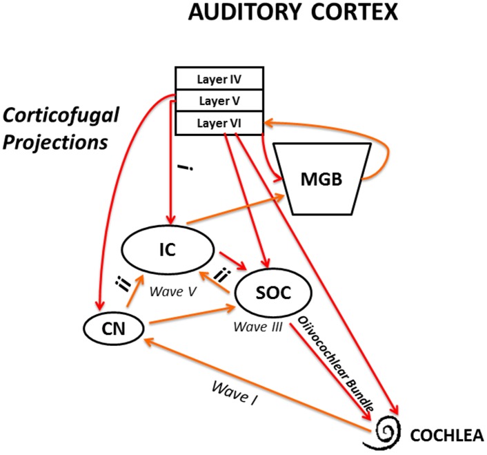 Fig 7