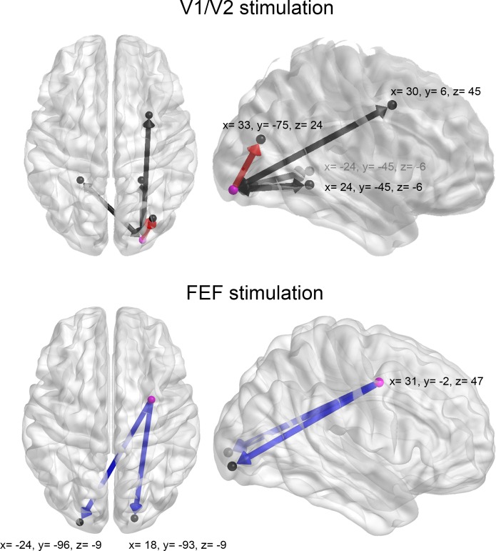 Figure 3—figure supplement 5.