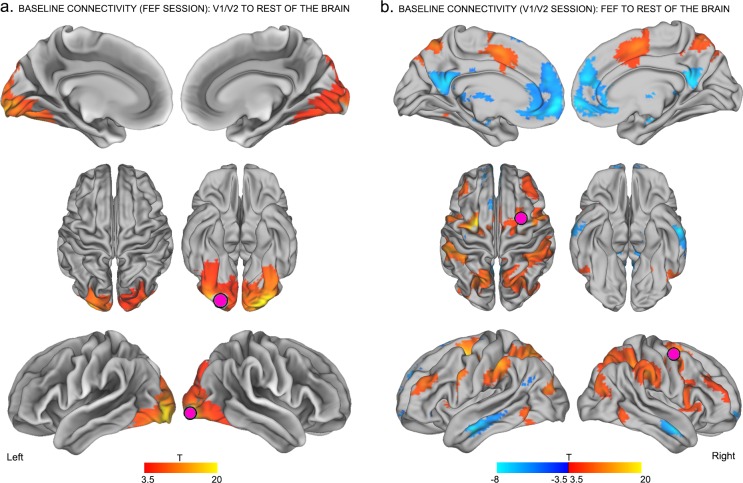 Figure 2—figure supplement 2.