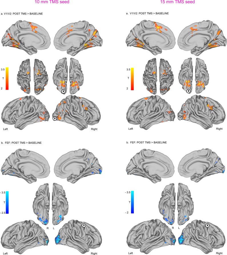 Figure 3—figure supplement 2.