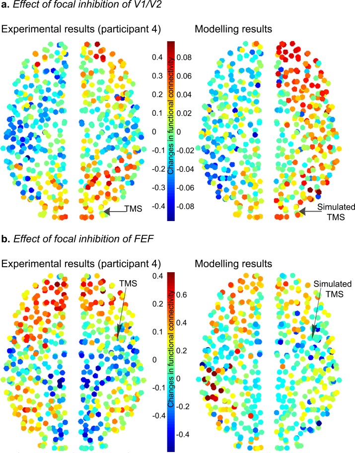 Figure 4—figure supplement 4.