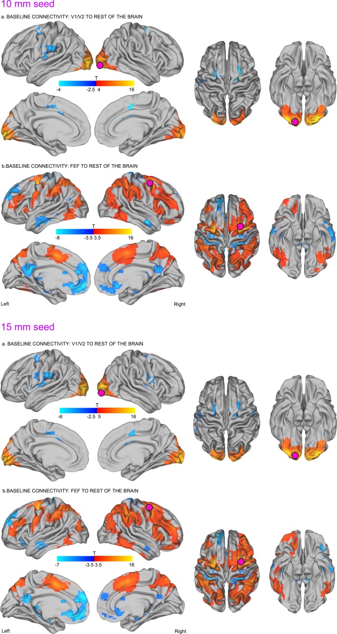 Figure 2—figure supplement 1.