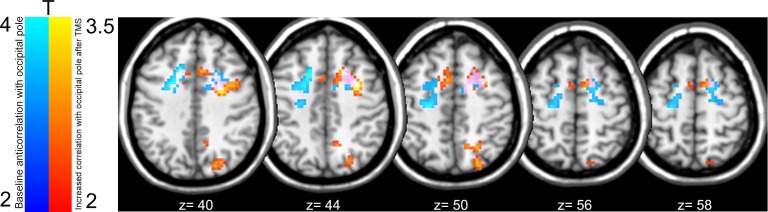 Figure 3—figure supplement 1.