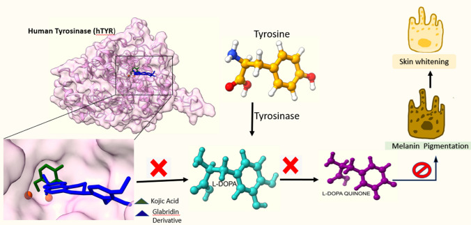 graphic file with name 13596_2022_640_Figa_HTML.jpg