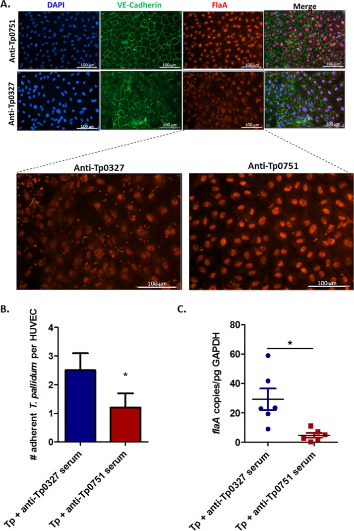 FIG 4