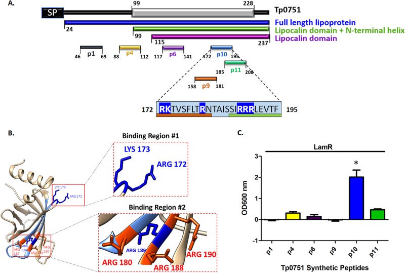 FIG 8