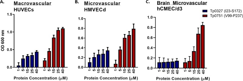 FIG 2