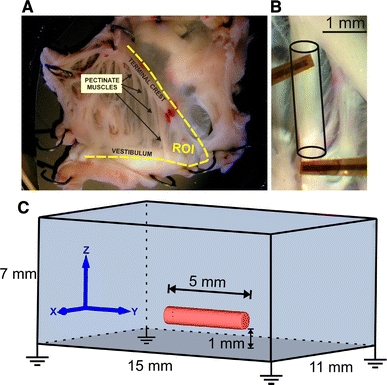 Fig. 1