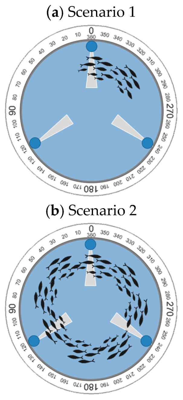 Figure 19