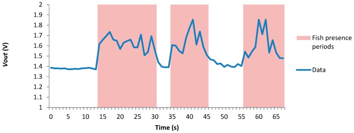 Figure 17